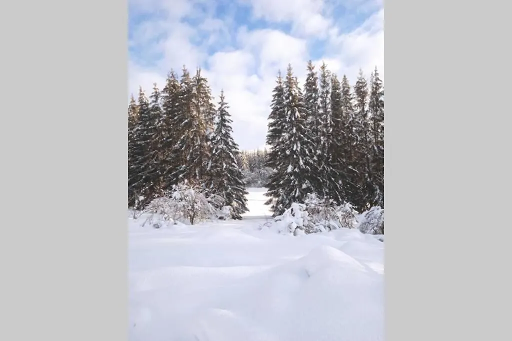 Holiday home Gite De La Montagne D'Ance Chastreix France