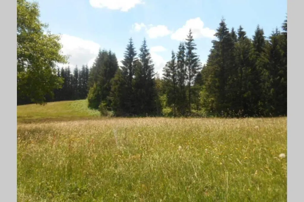 Gite De La Montagne D'Ance Chastreix