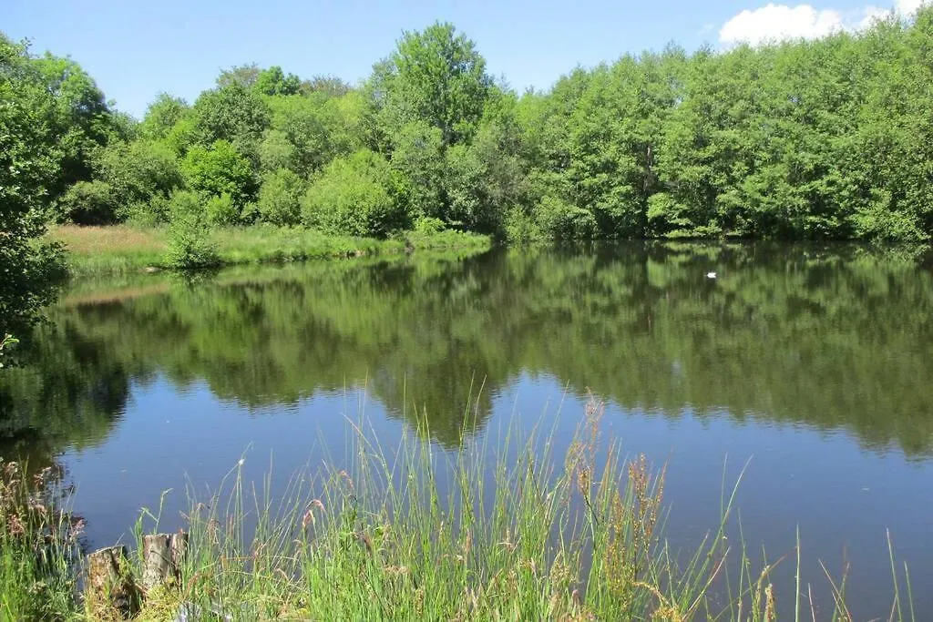 Gite De La Montagne D'Ance Chastreix France